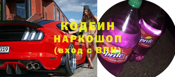 спайс Няндома