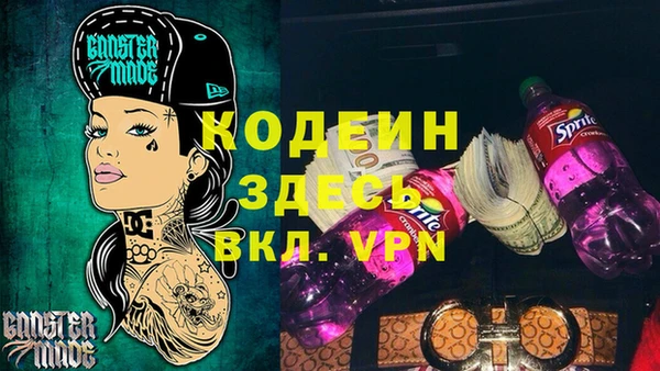 спайс Няндома