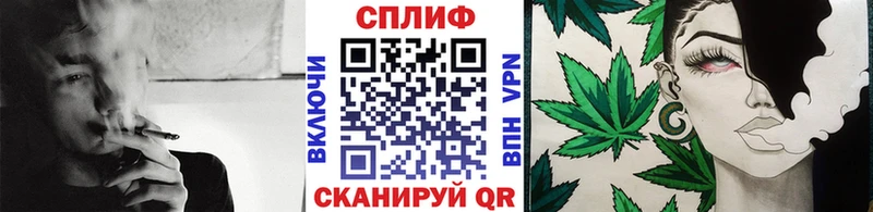 Каннабис сатива  Нерчинск 
